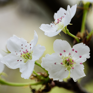 王志林吴丽云笔趣阁新还更新吗
